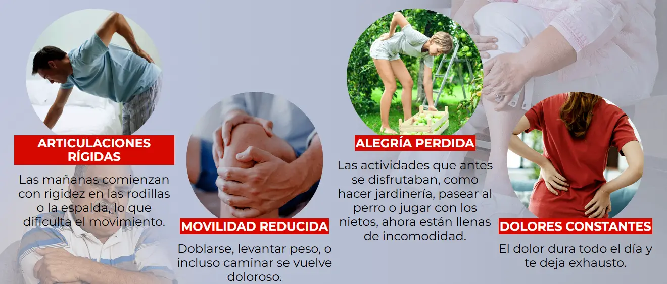 Congelum Gel precio y compra
